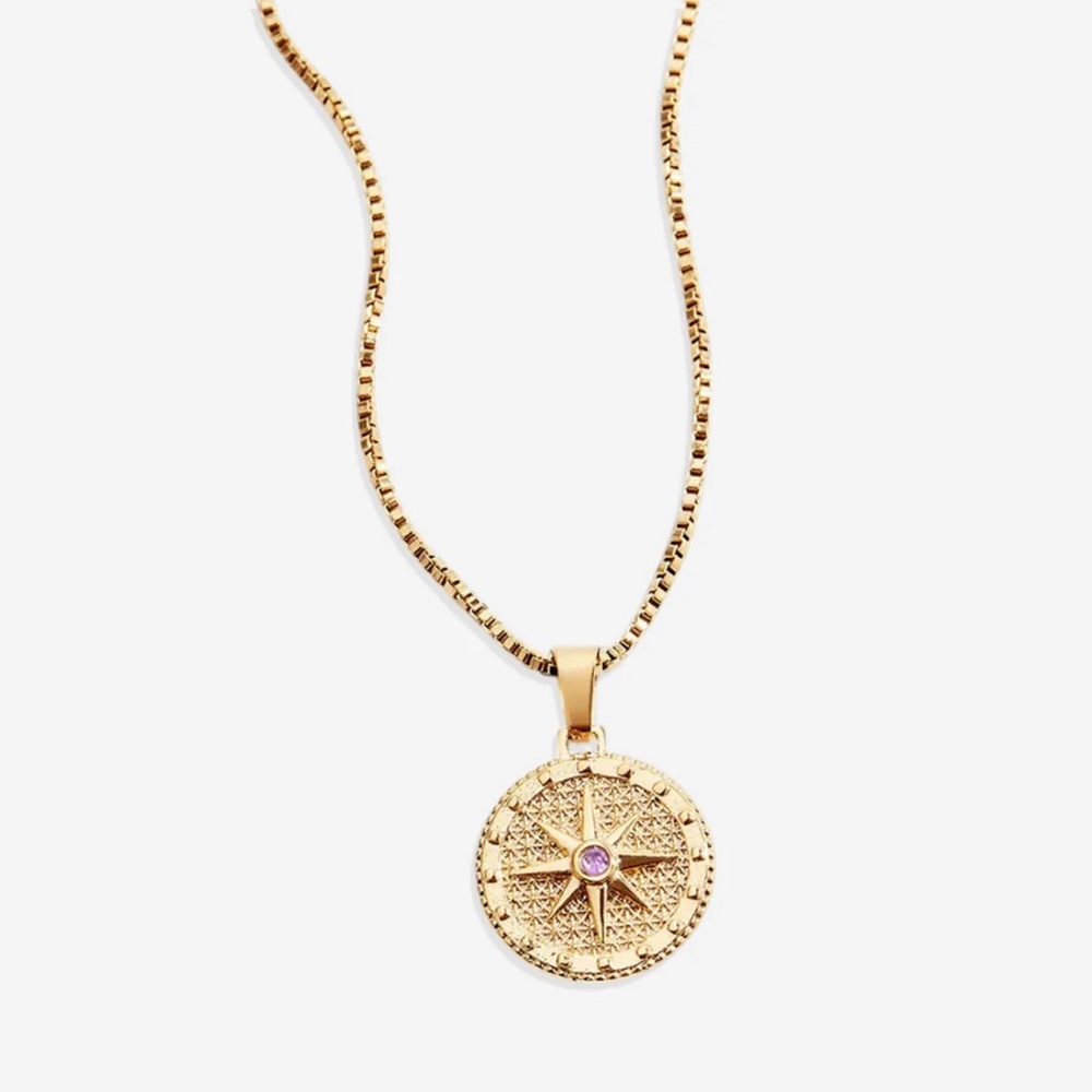Gold & Amethyst Compass Pendant Necklace NWT